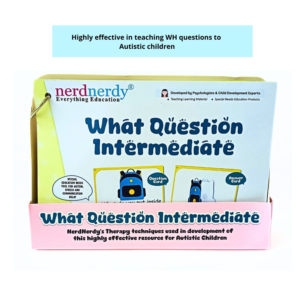 NerdNerdy What Question Intermediate Level - NerdNerdy