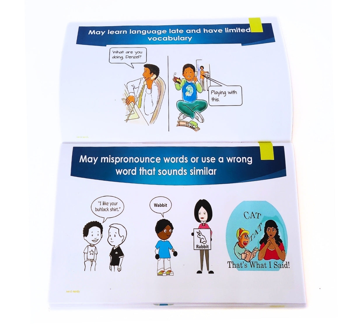 NerdNerdy Understanding Learning Disability Manual - NerdNerdy