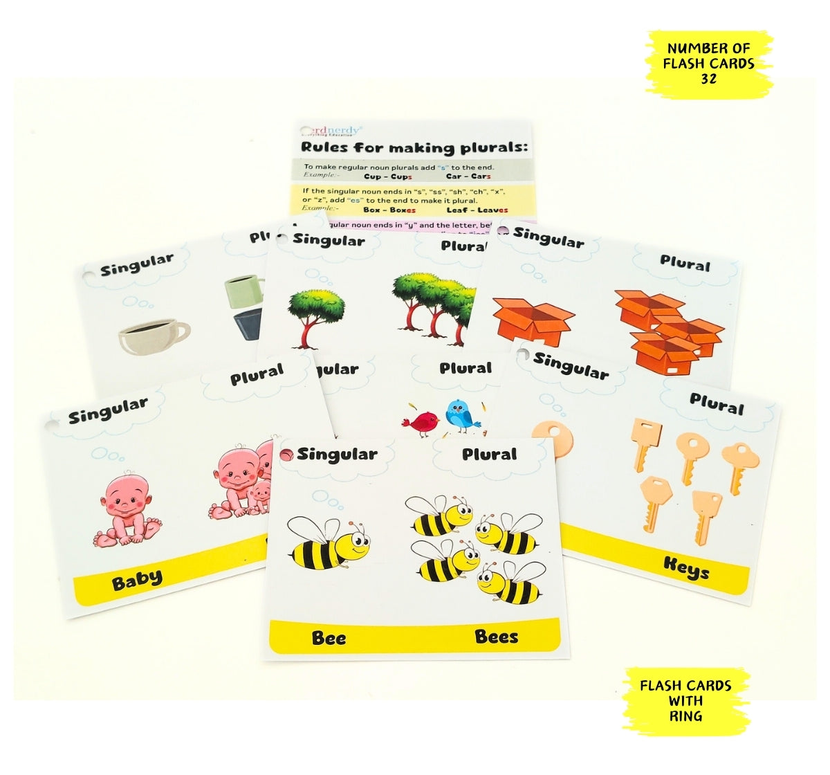 NerdNerdy English Singular Plural Flash Cards - NerdNerdy