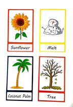 NerdNerdy Season Flashcards, Early Learning, Educational Cards,Word Flash Cards for Kids - NerdNerdy