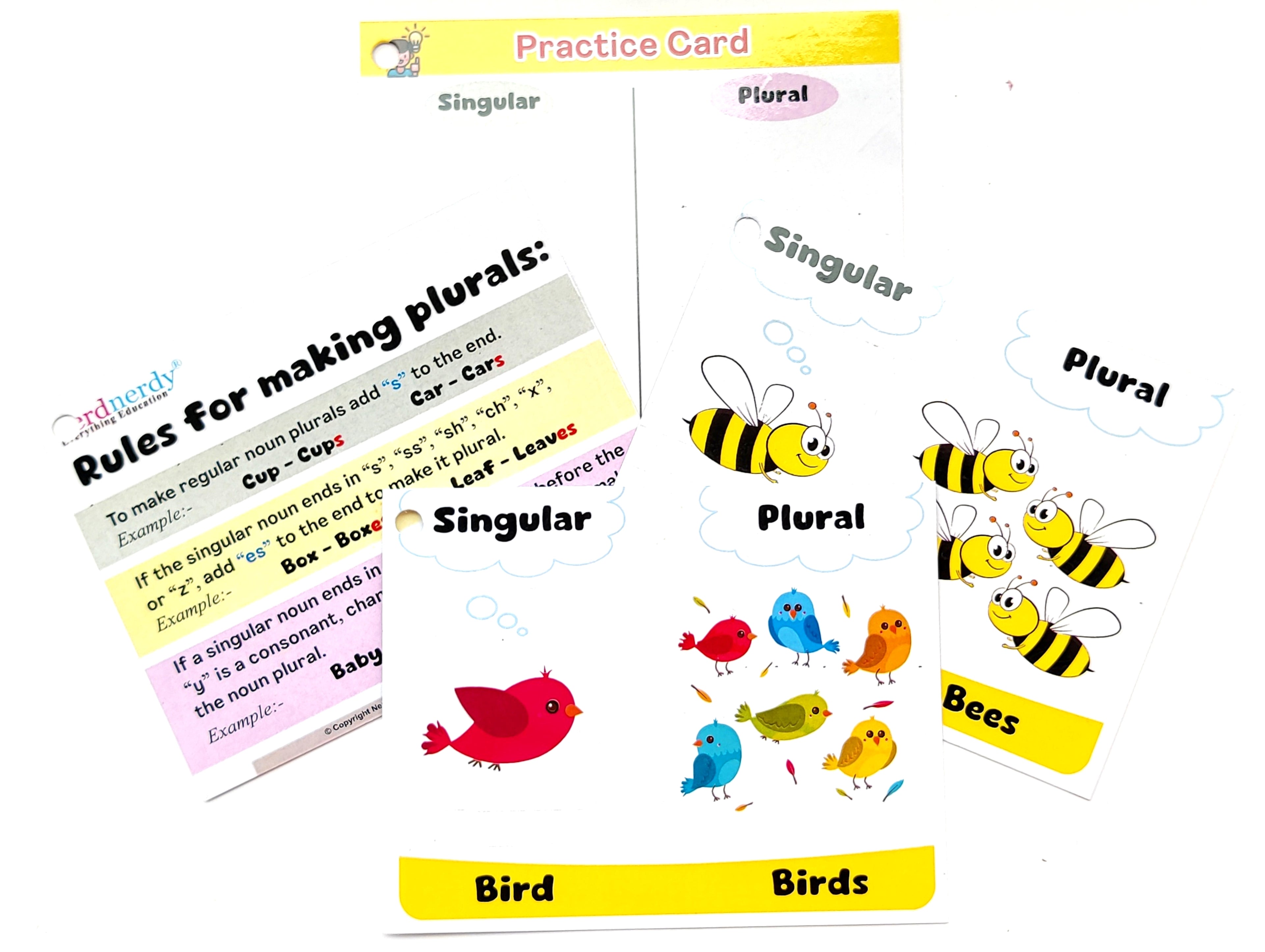 Nerdnerdy Singular and Plural Flash Card - NerdNerdy