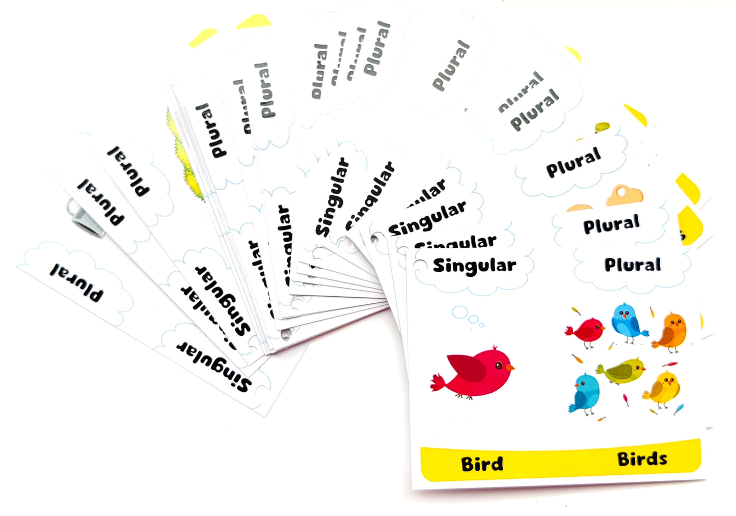 Nerdnerdy Singular and Plural Flash Card - NerdNerdy