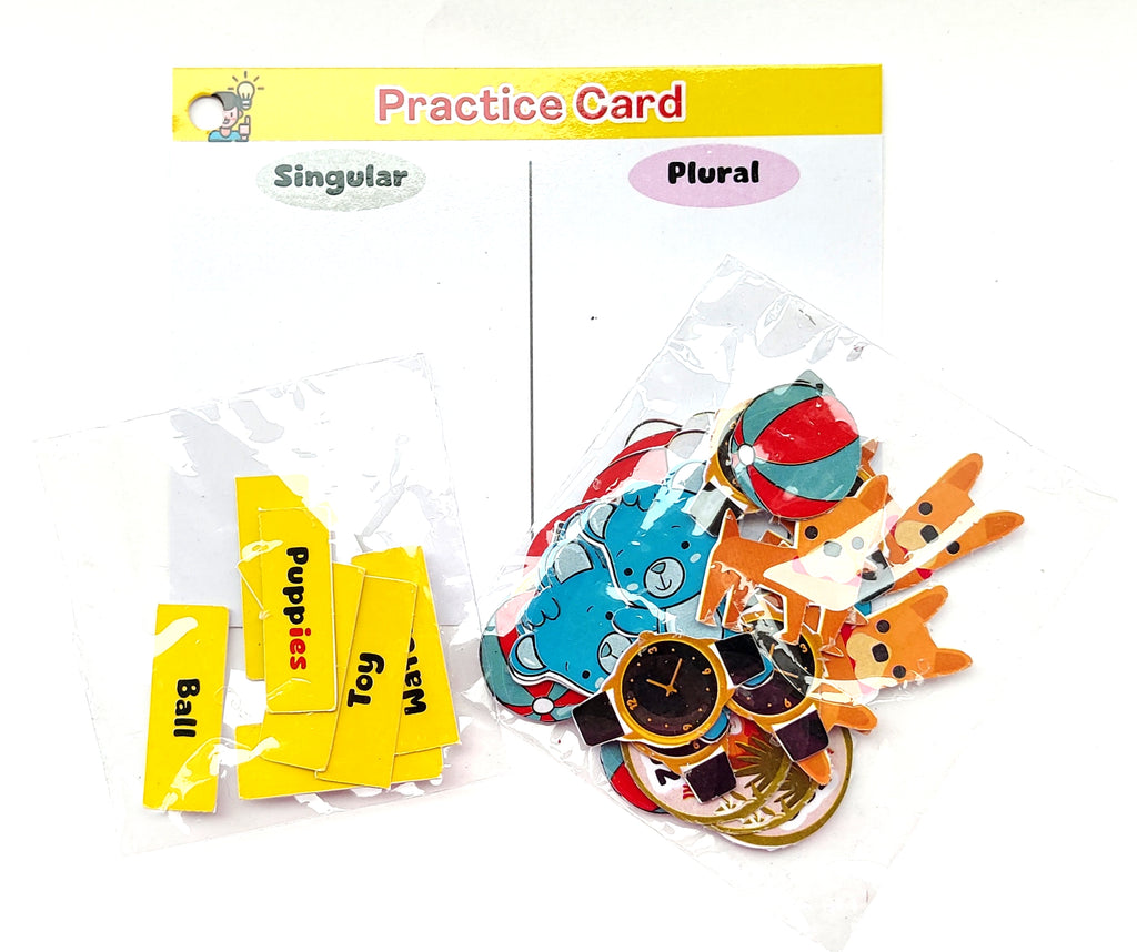 Nerdnerdy Singular and Plural Flash Card - NerdNerdy