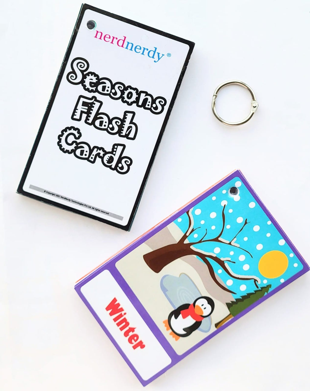 NerdNerdy Season Flashcards, Early Learning, Educational Cards,Word Flash Cards for Kids - NerdNerdy