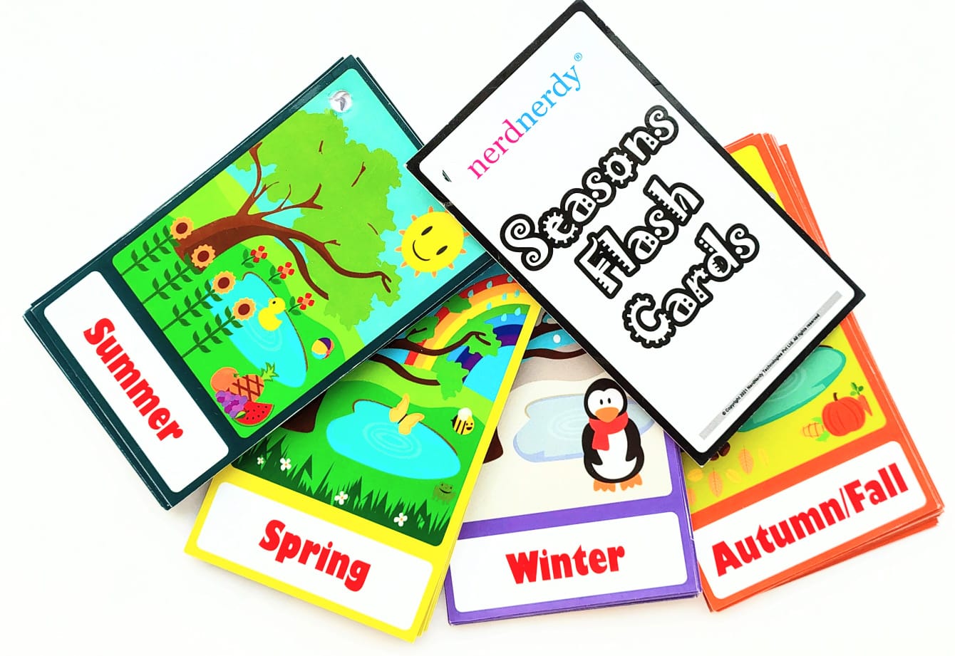 NerdNerdy Season Flashcards, Early Learning, Educational Cards,Word Flash Cards for Kids - NerdNerdy