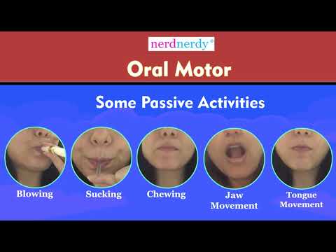 Oral Motor Module